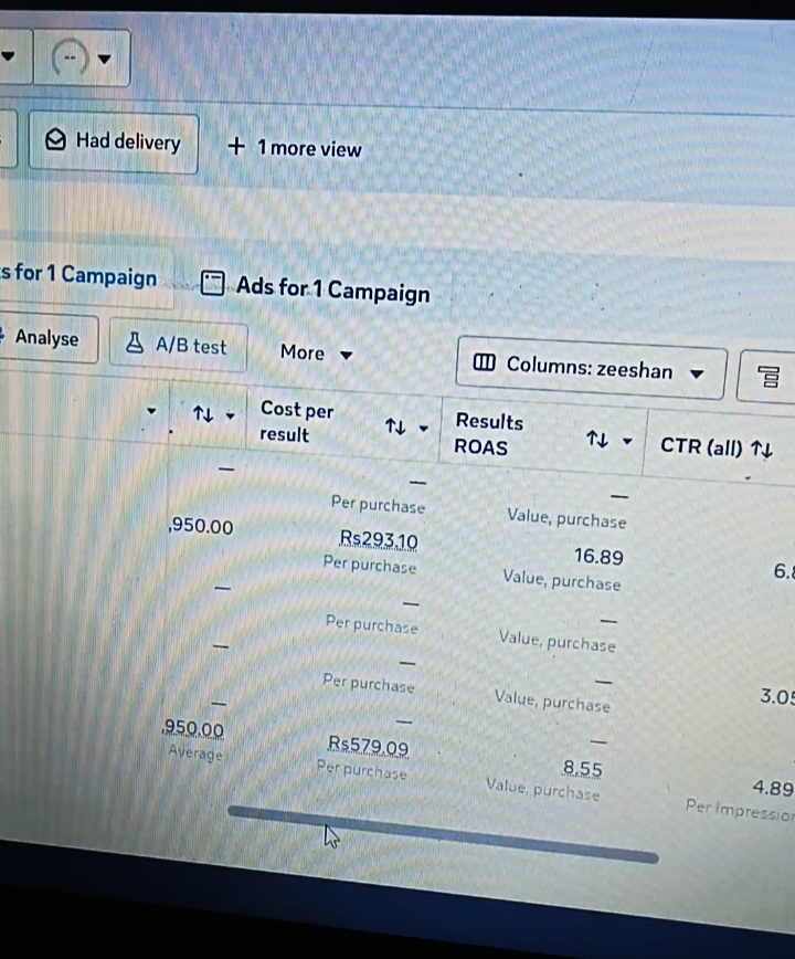 Campaign showing ROAS of 16.89 at Rs293 per purchase